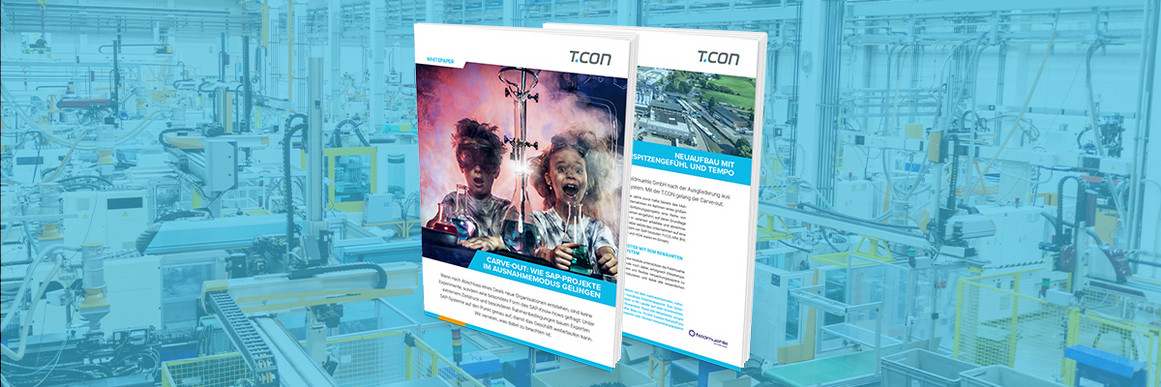 Download | Whitepaper SAP Carve-out | T.CON